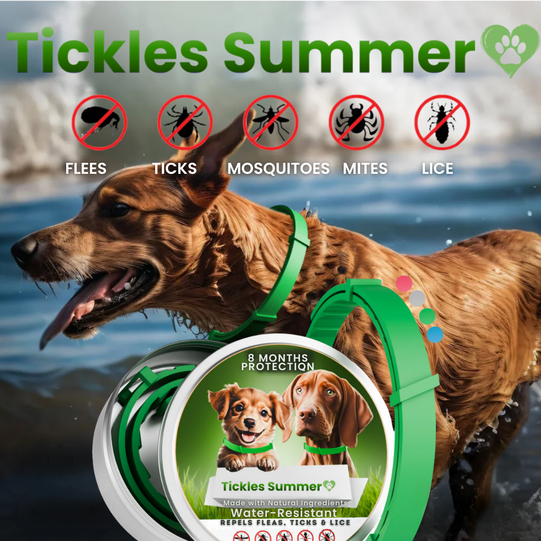 Tickles Summer™ – Natural Anti Tick Collar for Dogs